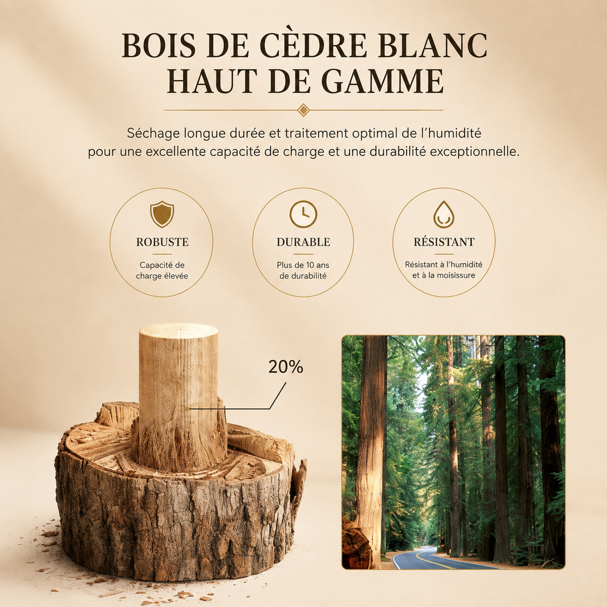 Illustration du bois utilisé pour la boîte à montres