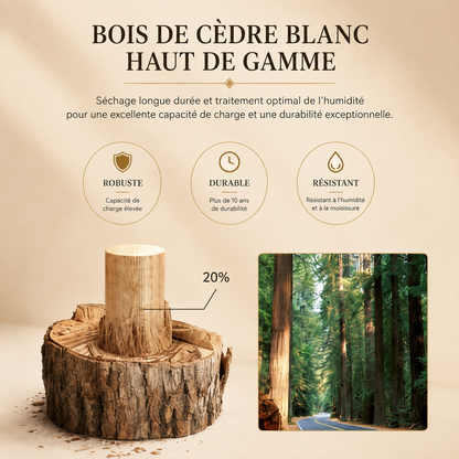 Illustration du bois utilisé pour la boîte à montres