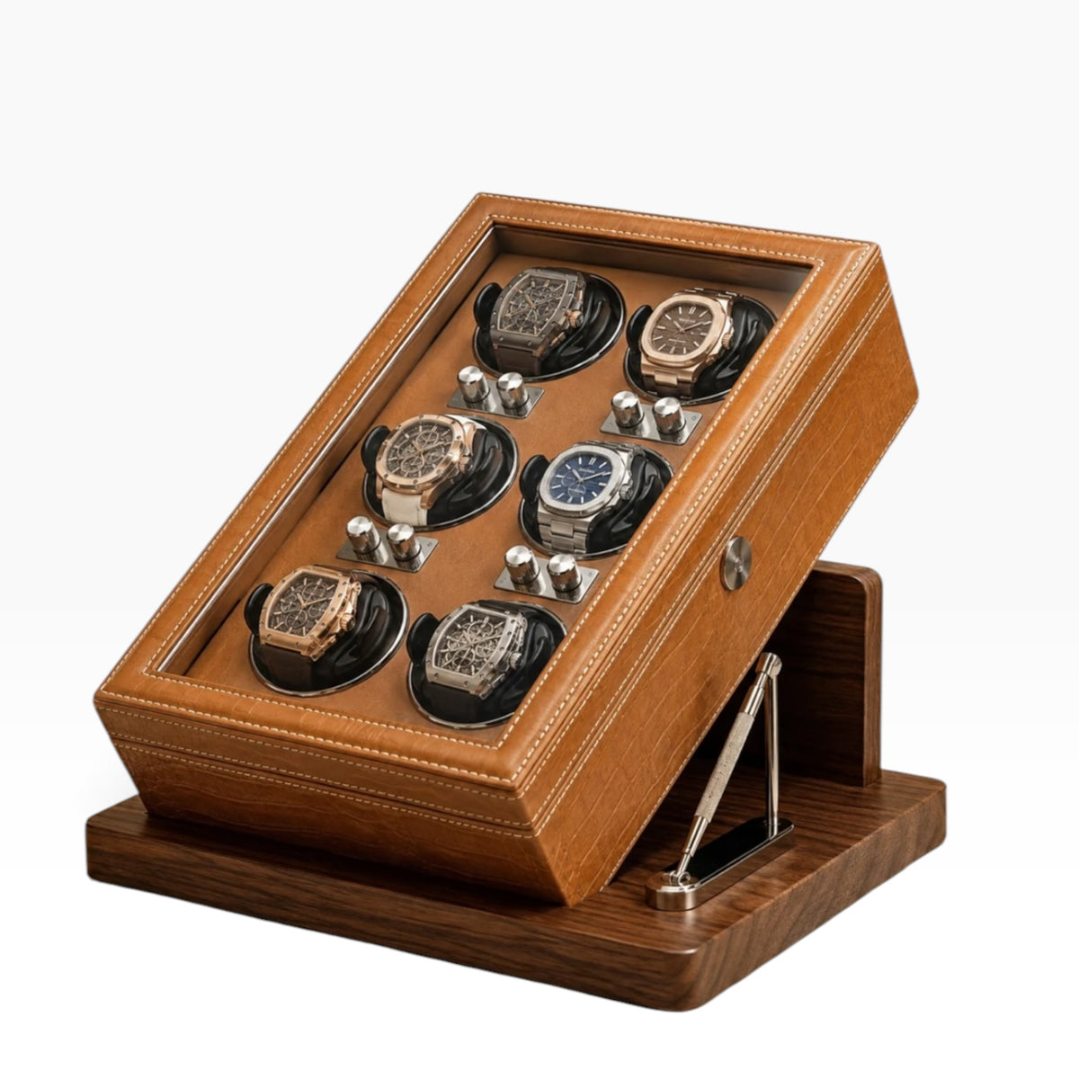 Remontoir automatique camel avec 6 montres, vitrine inclinée